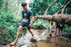 BIB: 
                            <button type="button" onclick="openModal(25373248)" class="btn btn-primary btn-sm float-right btn-popup" data-toggle="modal" data-target=".modal-high-quality">
                        <i class="fas fa-shopping-cart"></i> Add to Cart
                    </button>
                                            <button type="button" onclick="isThisMe(25373248, true)" class="btn btn-success btn-sm float-right btn-popup btn-isme hidden" data-toggle="tooltip" data-placement="bottom" title="นี่คือรูปของคุณใช่ไหม คลิกที่นี่เพื่อเอาเข้าอัลบั้ม">
                        <i class="fas fa-plus"></i> Add to album
                    </button>
                    <button type="button" onclick="isThisMe(25373248, false)" class="btn btn-warning btn-sm float-right btn-popup btn-isnotme hidden">
                        <i class="fas fa-ban"></i> Remove from album
                    </button>